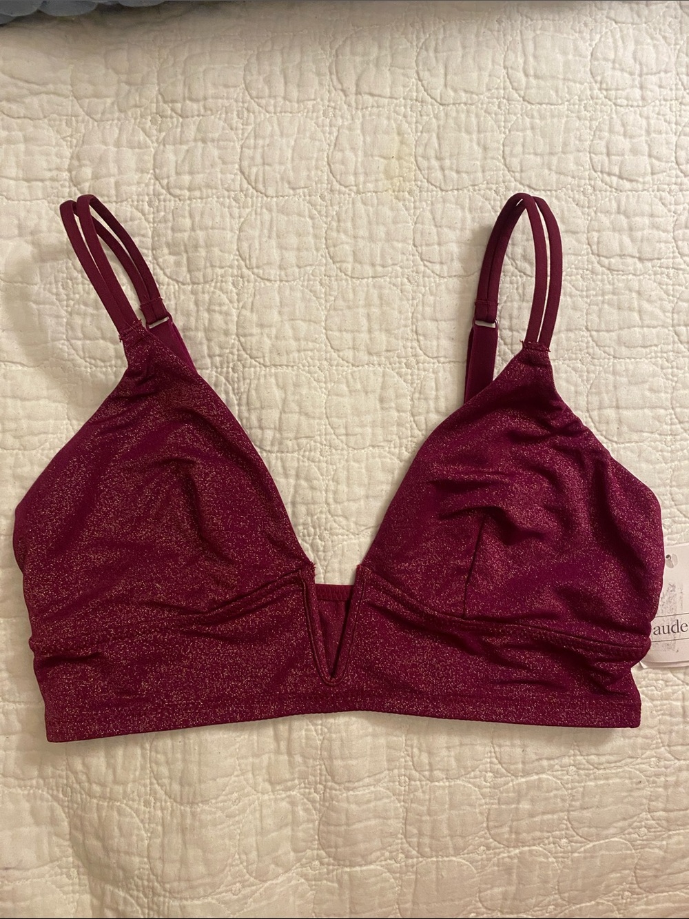 Auden Shimmery Burgundy Bralette